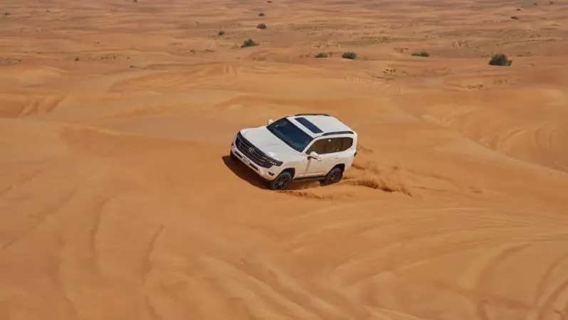Desert Safari